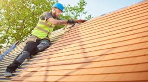 Best Roofing for New Construction  in La Homa, TX